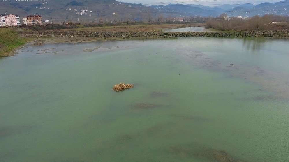 Dünya Sıcaklığındaki 1,6 Derecelik Artış Felaketlere Yol Açıyor