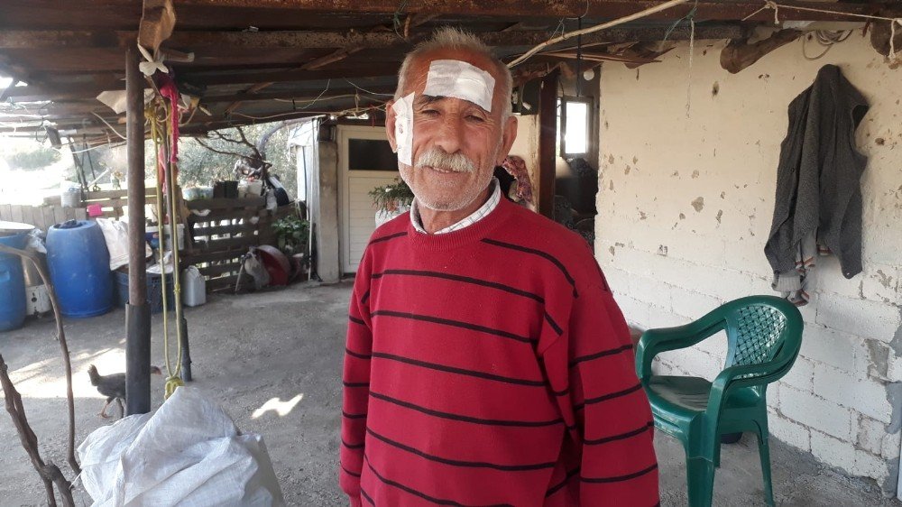 Seralarını Kontrol Ederken Maganda Kurşunuyla Başından Yaralandı