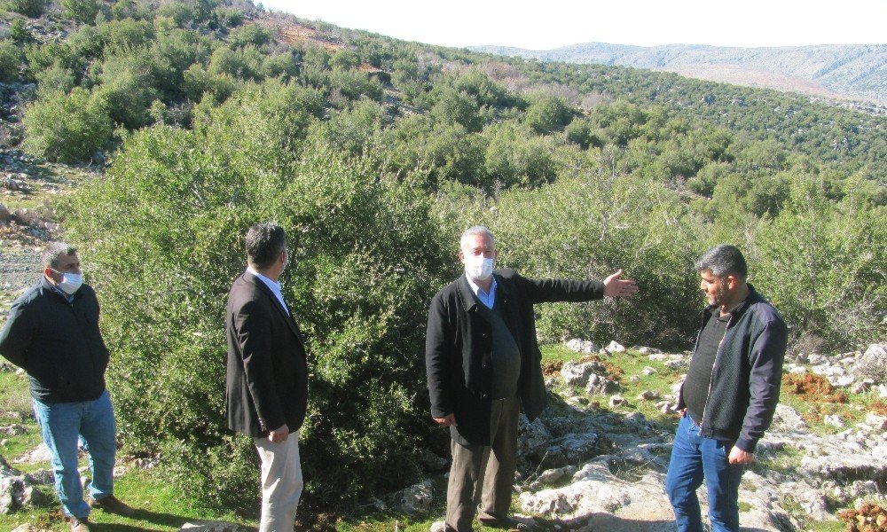 850 Dönümlük Meşe Ormanı İçin İtfaiye Yolu Talebi