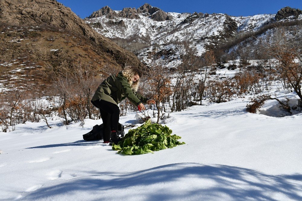 Kato Dağı’ndaki Yaban Hayvanları İçin Doğaya Yem Bırakıldı