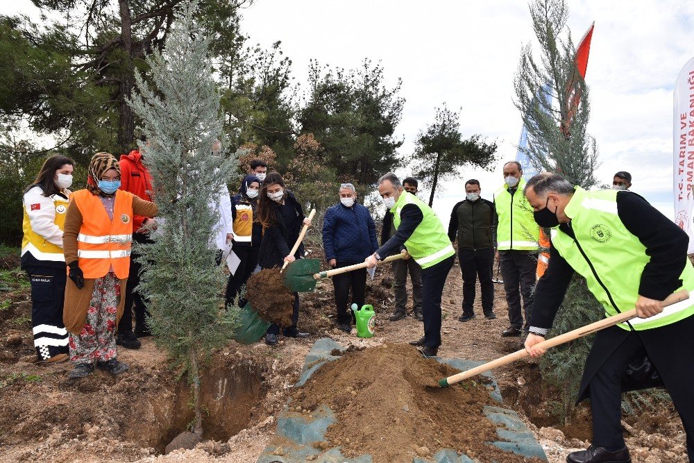 Sağlık Kahramanları Ormanı