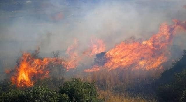 İ̇znik Gölünde Korkutan Yangın: 60 Dönüm Arazi Kül Oldu