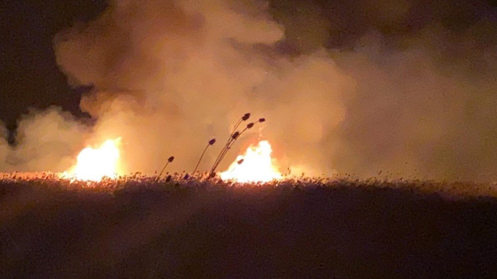 İ̇znik’te Sazlıklarda İkinci Yangın
