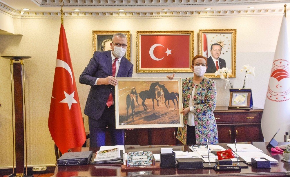 Aromatik Bitki Yetiştiriciliğine Ankara’dan Özel İlgi