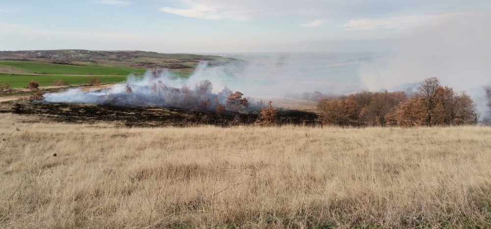 Tekirdağ’da Ağaçlık Alanda Yangın