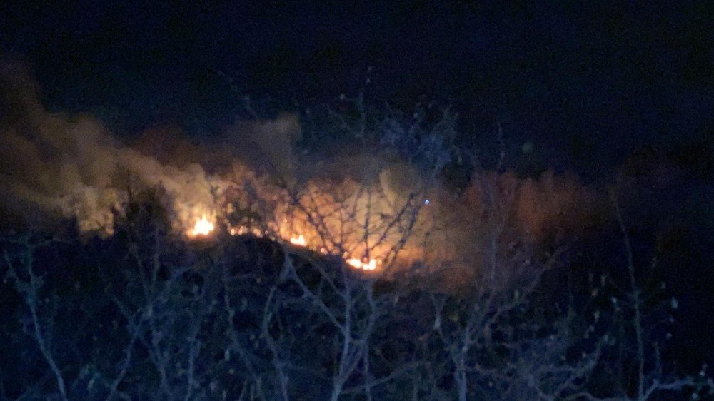 Akçakoca’da Orman Yangını