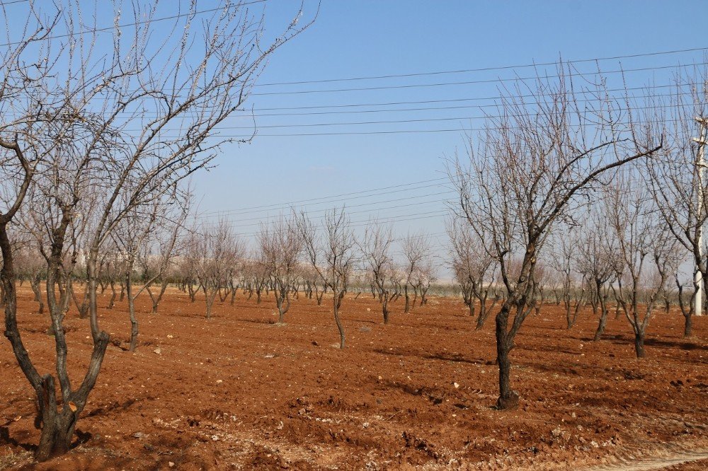 Hobi Bahçesi Proje Çalışmaları Devam Ediyor