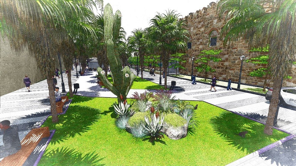Kuşadası Belediyesi’nden Palmiye Açıklaması