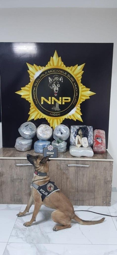 Muz Kolileri İçerisindeki 51 Kilo Esrarı Narkotik Köpeği Cessi Yakaladı