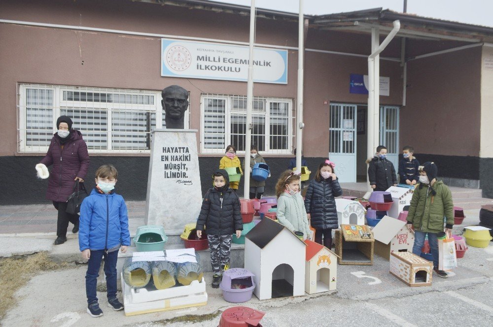 Öğrenciler Sokak Kedileri İçin 60 Yuva Yaptı
