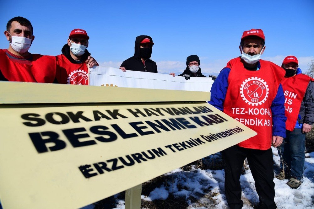 Tez-koop-i̇ş’ten, Etü’nün Sokak Hayvanlarına Yönelik Uygulamasına Destek