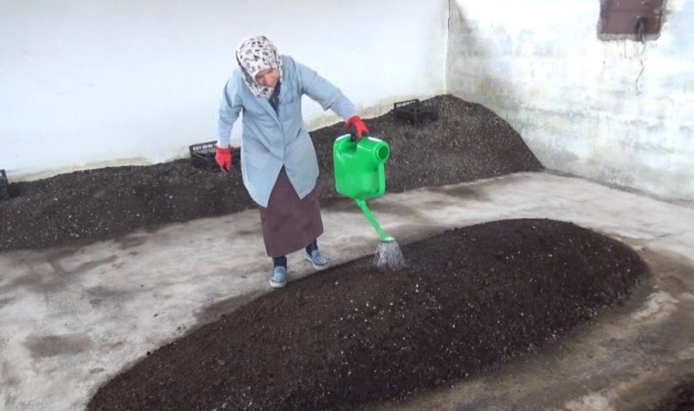 2 Üniversite Mezunu Kadın, Organik Solucan Gübresi Üretiyor