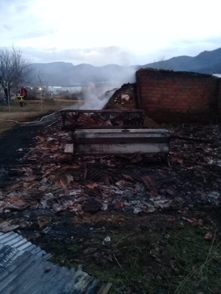 Ahır Yangınından 56 Adet Küçükbaş Hayvan Yanarak Telef Oldu