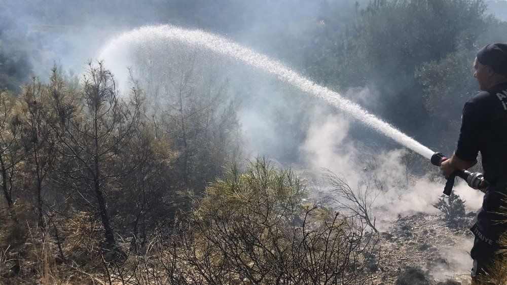Manavgat’ta Kırsal Alan Yangını