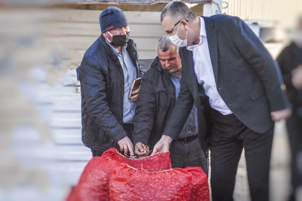 Karacabey’in Kırmızı Soğanı Koronadan Koruyor