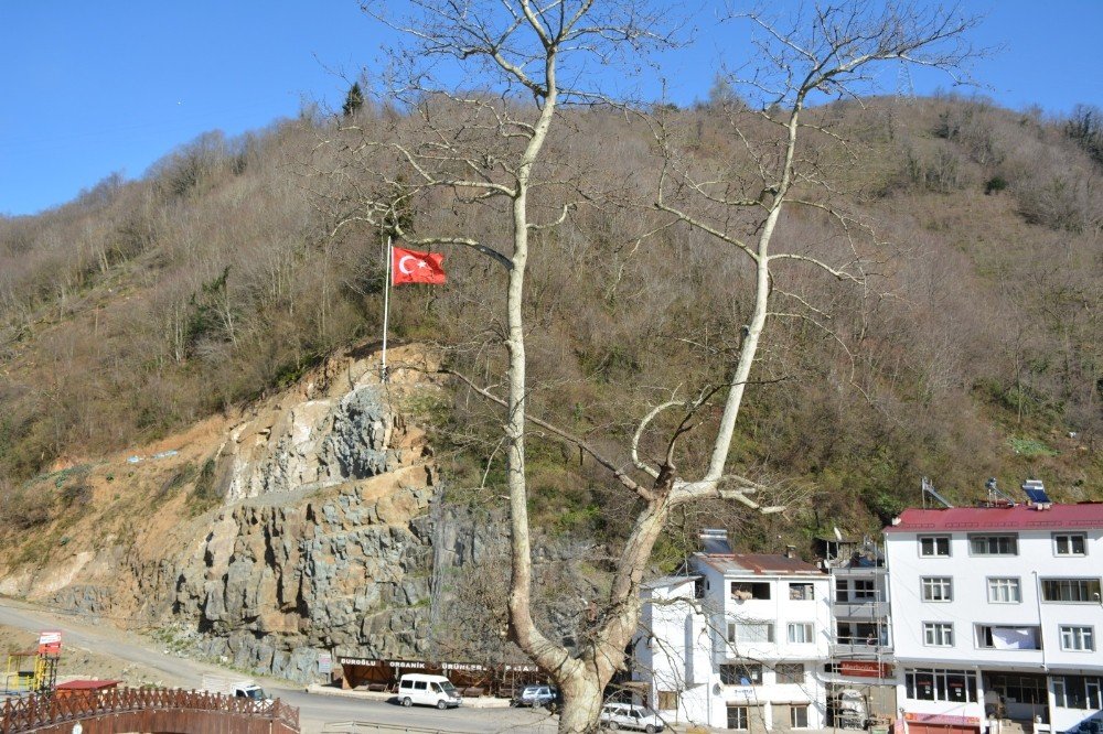 Heyelan Sahasına Türk Bayrağı