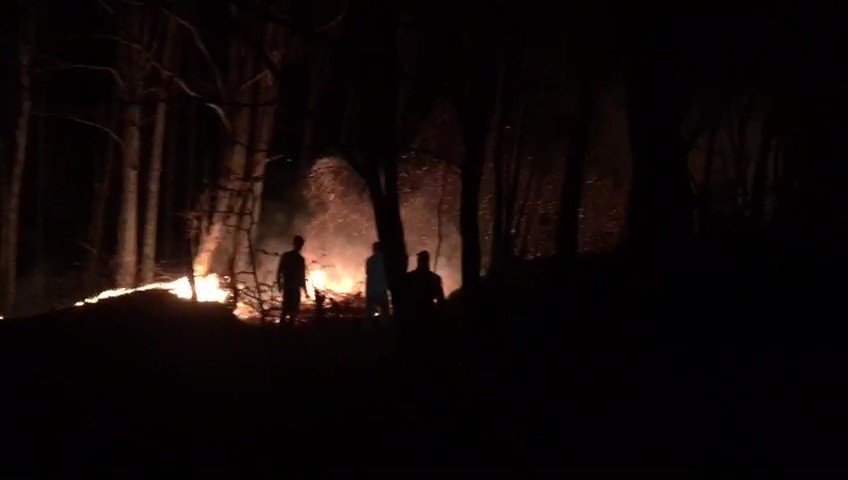 Düzce’deki Orman Yangını Kontrol Altına Alındı