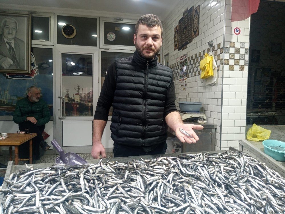 Zonguldak’ta Tezgahlar Hamsilerle Doldu