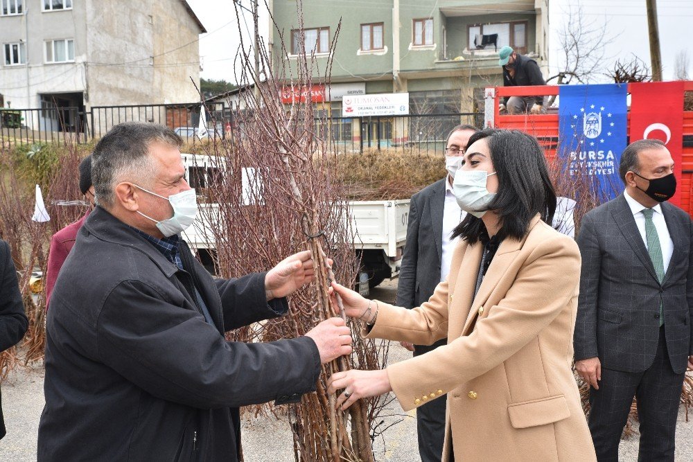 Toprak Büyükşehir’le Bereketleniyor