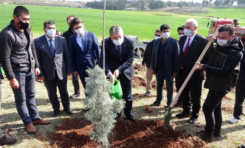 Osmaniye’de 112 Fidan Toprakla Buluştu