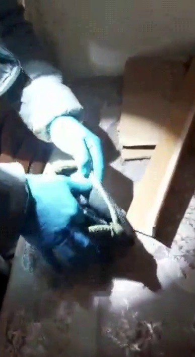Çöp Konteynerinde Mahsur Kalan Kedi Kurtarıldı