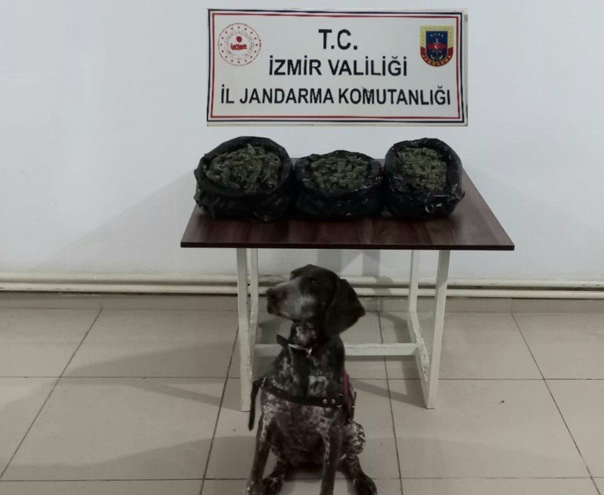 İ̇zmir’in 3 İlçesinde Jandarmadan Uyuşturucu Baskınları