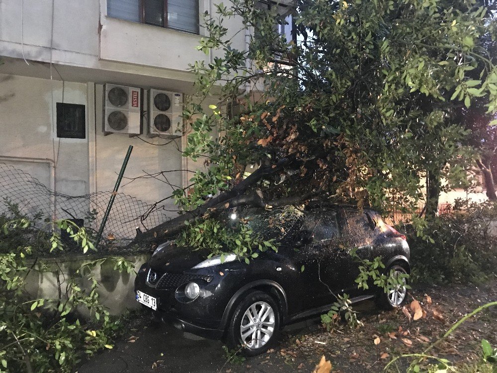 Kadıköy’de Şiddetli Rüzgarda Park Halindeki Otomobilin Üzerine Ağaç Devrildi