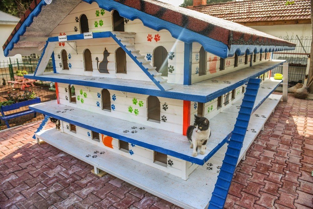 Dokumapark’a Kedi Apartmanı