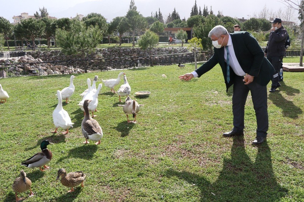 Atatürk Kent Parkı ‘kuş Cenneti’ne Döndü