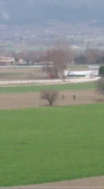 Bolu’da, Köpeğe Tecavüz Ederken Suçüstü Yakalanan Şahsa 15 Bin Lira Ceza
