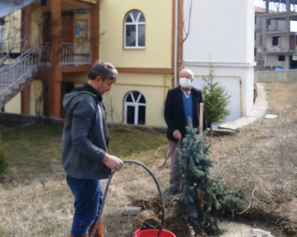 Hisarcık Yunus Emre Cami Bahçesi Ağaçlandırıldı