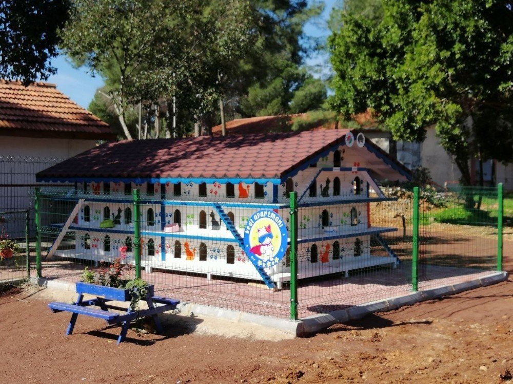 Patikent Açılışa Hazırlanıyor