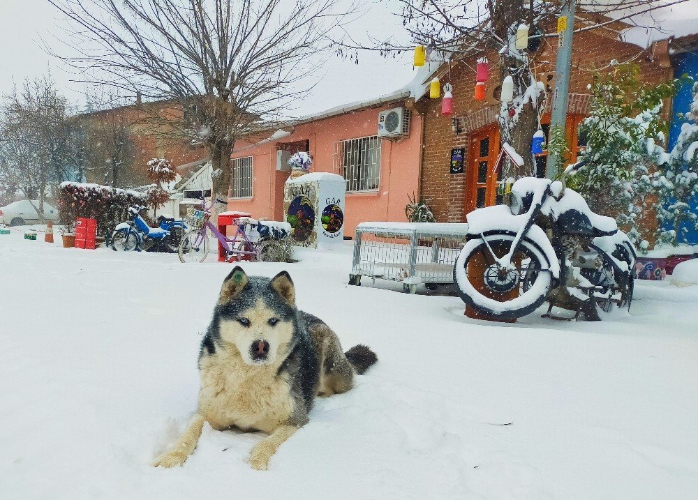 Edirne’de Kar Yağışı Kartpostallık Görüntüler Oluşturdu