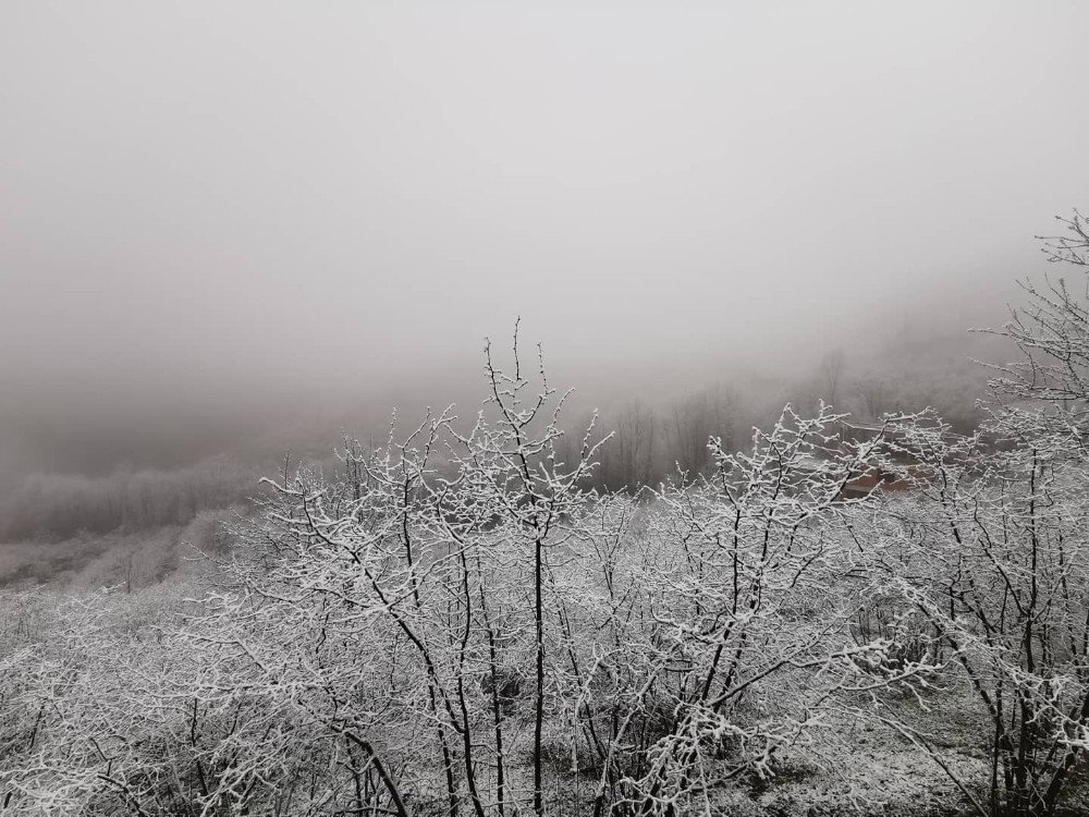 Ordu’da Beklenen Kar Etkili Oldu