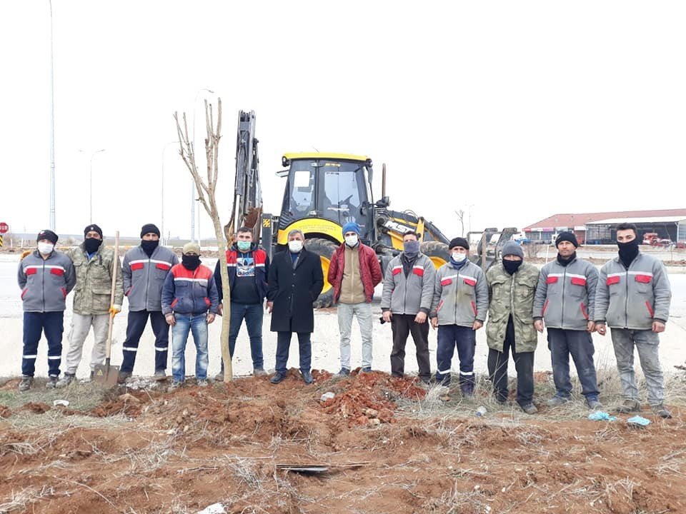 Altıntaş’ta Ağaçlandırma Çalışmaları