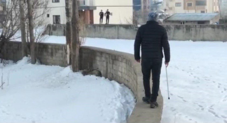 Yüksekova’da Şehir Merkezine İnen Kurt Korkuttu