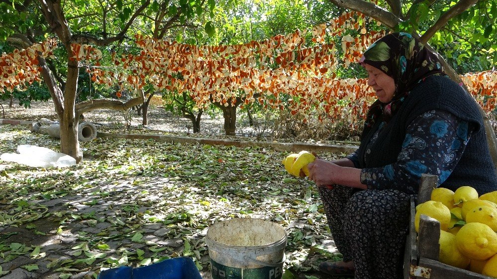 Narenciye Kabukları Kurutularak Ekonomiye Kazandırılıyor