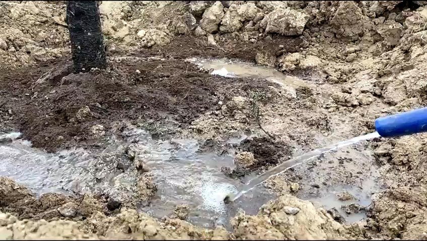 Pursaklar’da Ağaçlandırma Çalışmaları Tüm Hızıyla Devam Ediyor