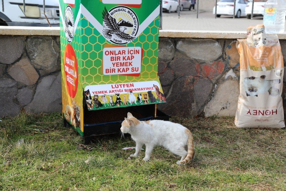 Bingöl’de 12 Noktaya Mamamatik Yerleştirildi