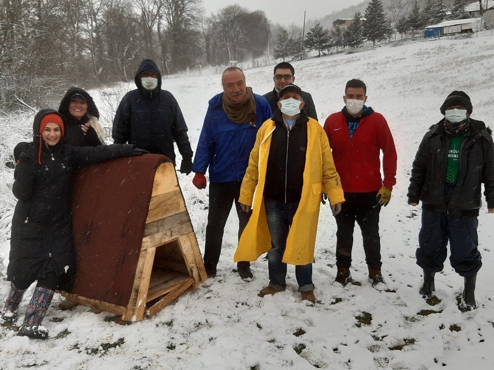 Soğuk Havaya Aldırış Etmeden Hayvanlara Kulübe Bıraktılar