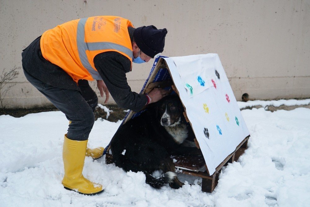 Altınordu’da Atık Malzemeler, Sokak Hayvanlarına Yuva Oluyor