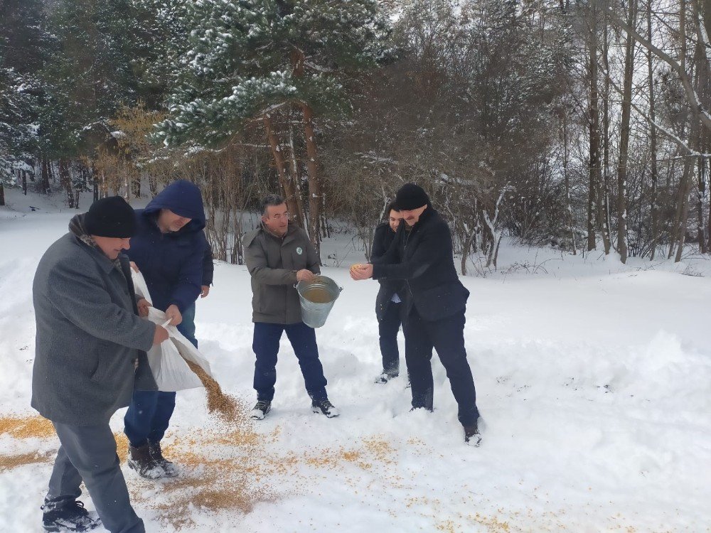 Doğaya Yem Bıraktılar