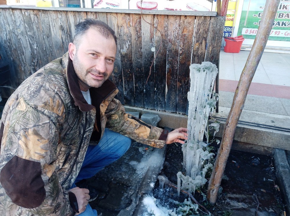 Küçükkuyu’da Fidanlar Buz Tuttu