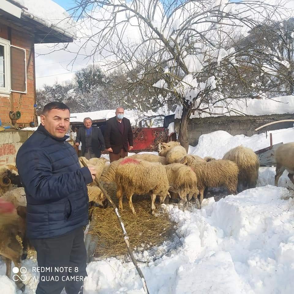 Ağıl Çöktü Koyunlar Telef Oldu