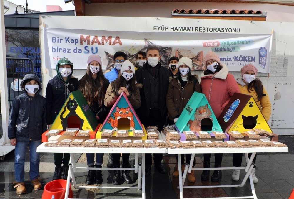 Eyüpsultan’da Kediler Yeni Yuvalarına Kavuştu