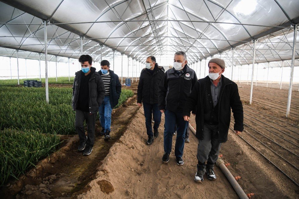 Kayseri’de Yeni Nesil Seralarla Üreticiler Karlı Yatırımlar Yapıyor