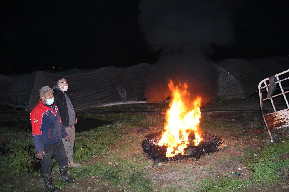 Aydın’da İlginç Yöntemle Zirai Don Nöbeti
