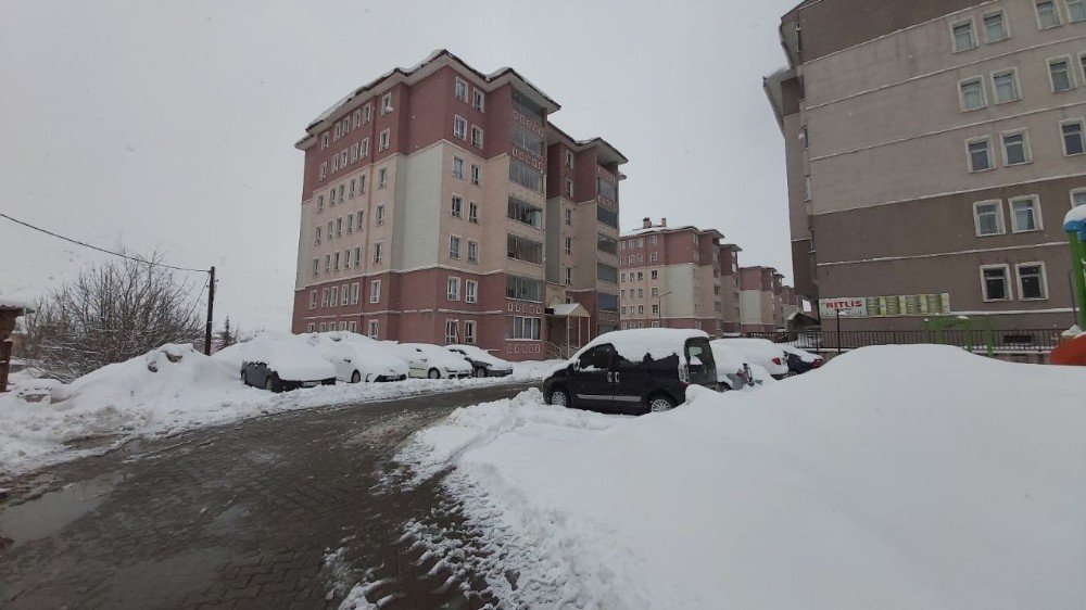 Bitlis’te 188 Köy Yolu Ulaşıma Kapandı