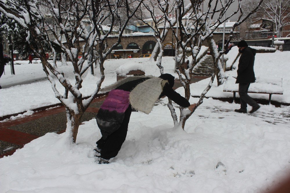 Karda Aç Kalan Hayvanlara Dikkat Çekmek İçin Arı Kılığına Girdi...