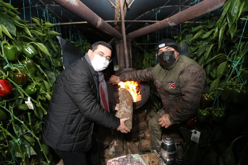 Tütüncü’den Serada Zirai Don Nöbeti